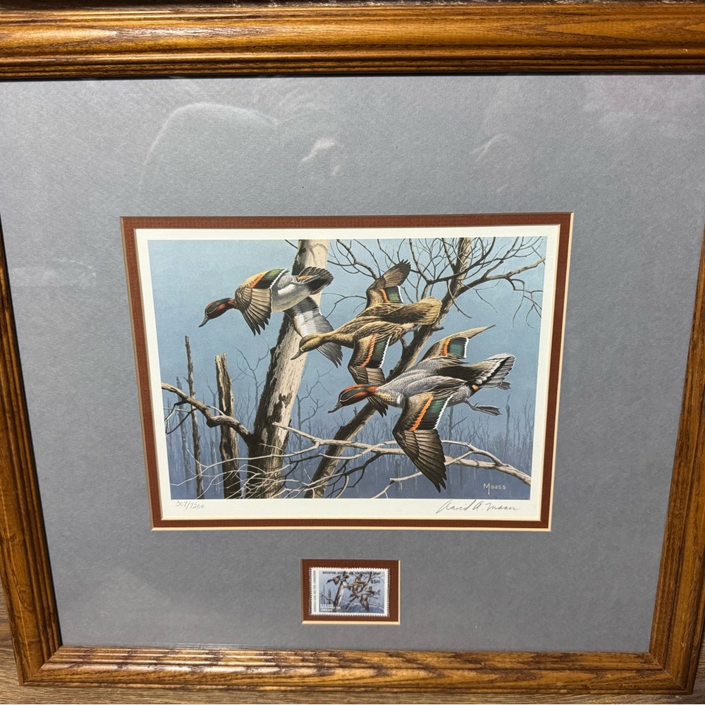 Framed Ducks Unlimited Print Arkansas 1983-84 David Maass & $5.50 stamp
